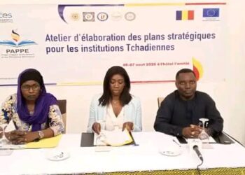 Tchad : Le Le Projet d’Appui au Parlement et aux Processus Électoraux renforce les capacités institutionnelles des grandes instances nationales