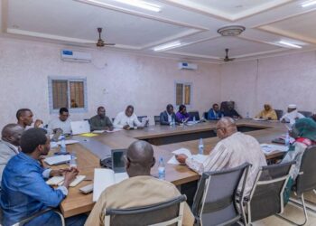 Tchad : Création d&rsquo;un comité d&rsquo;experts pour soutenir la participation du Tchad à la COP 30