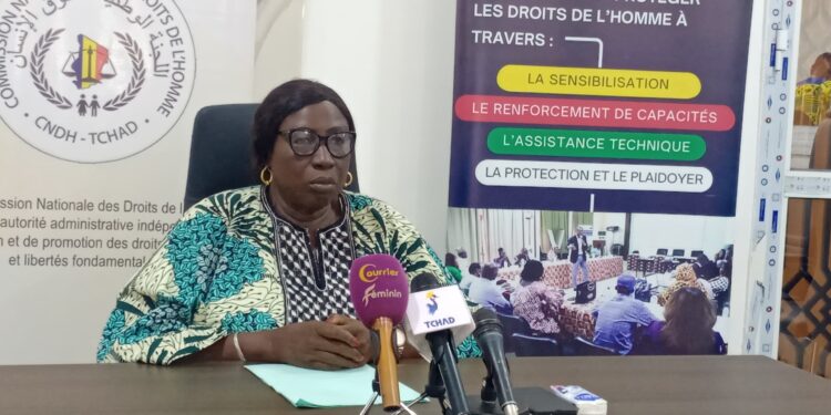 Tchad : la CNDH lance la première édition du Prix des Droits de l’Homme