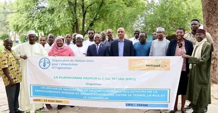 Tchad : Clôture de l&rsquo;atelier de validation de la cartographie des acteurs de la transhumance au Tchad