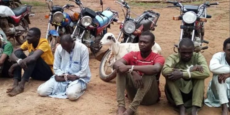 Tchad : Arrestation de dix (10) présumés malfrats à Kélo