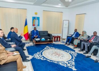 Tchad : Le Premier ministre reçoit une délégation de Huawei Technologies pour présenter cinq projets numériques stratégiques