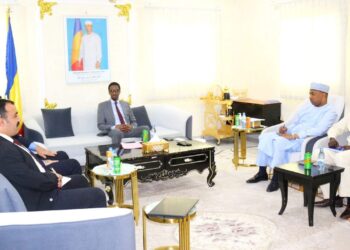 Tchad : Le ministre de la communication échange avec le coordonnateur de Tika.