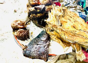 Tchad : usage dangereux de produits chimiques pour sécher le poisson fumé, malgré la sensibilisation