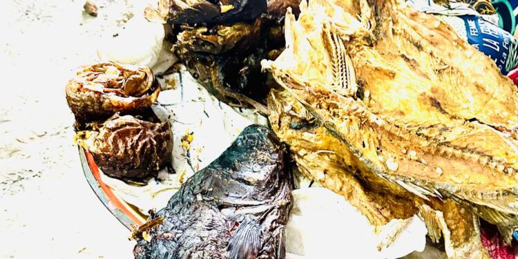 Tchad : usage dangereux de produits chimiques pour sécher le poisson fumé, malgré la sensibilisation