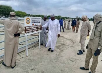 Tchad: Supervision du Ministre de l’Élevage dans les provinces pastorales et hydrauliques