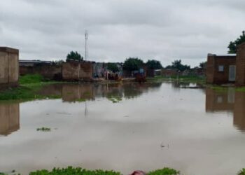 N&rsquo;Djamena : Les habitants des quartiers Gassi, Ambatta et Dinio lancent un appel urgent aux élus locaux face au risque d’inondations.