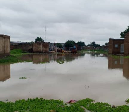 N&rsquo;Djamena : Les habitants des quartiers Gassi, Ambatta et Dinio lancent un appel urgent aux élus locaux face au risque d’inondations.