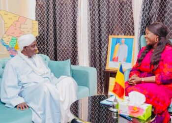 Tchad : La Ministre de la Femme échange avec le Vice-président du CSAI sur l&rsquo;épanouissement des femmes