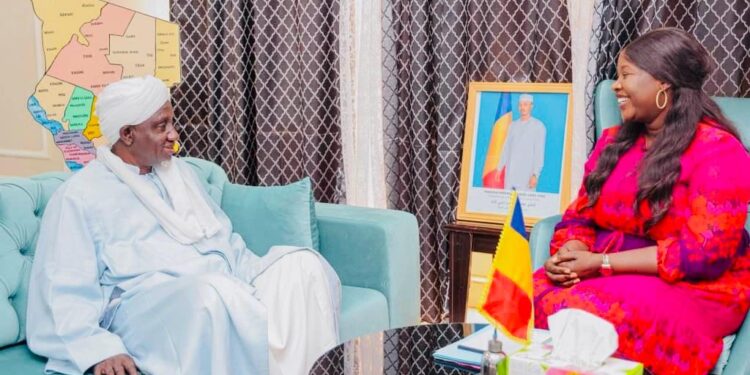 Tchad : La Ministre de la Femme échange avec le Vice-président du CSAI sur l&rsquo;épanouissement des femmes