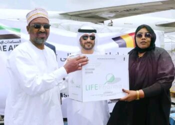 Tchad : Les Émirats Arabes Unis offrent un lot de médicaments pour la lutte contre le choléra