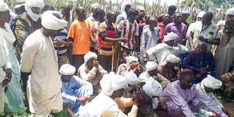Moyen-Chari : Le préfet de la Grande Sido prône la discipline et la cohésion sociale au marché à bétail de Danamadji