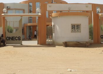 Tchad : Le diplôme de certification des agents sanitaires et sociaux est disponible
