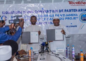 N’Djamena : La mairie centrale et l’ONAPE s’allient pour l’emploi des jeunes et la transition écologique