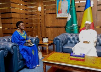 Tchad: La Directrice-Pays de l’ONUSIDA reçue par le Ministre d’État, Ministre des Affaires étrangères Dr Abdoulaye Sabre FADOUL