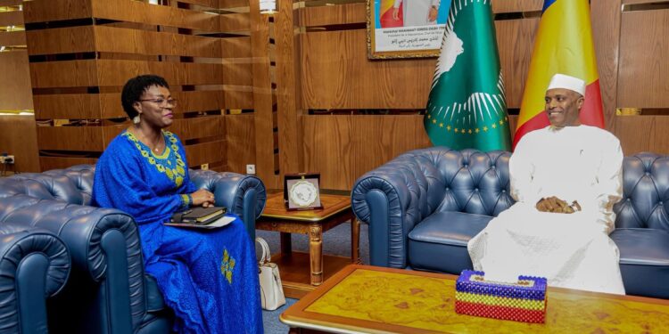 Tchad: La Directrice-Pays de l’ONUSIDA reçue par le Ministre d’État, Ministre des Affaires étrangères Dr Abdoulaye Sabre FADOUL