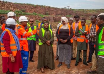 Hadjer Lamis : La Secrétaire d&rsquo;État en mission d&rsquo;inspection sur les différents sites des carrières