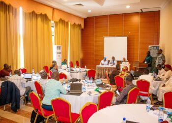 N’Djamena : l’atelier sur la pêche et l’aquaculture clôturé