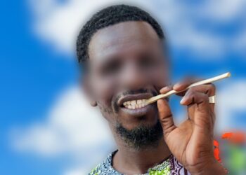 Santé : Le Siwak, allié naturel pour préserver la santé bucco-dentaire et prévenir caries et maladies gingivales