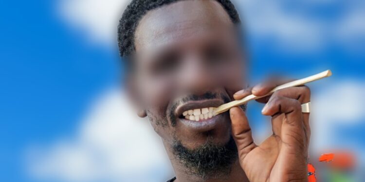 Santé : Le Siwak, allié naturel pour préserver la santé bucco-dentaire et prévenir caries et maladies gingivales