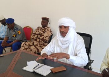 Batha : Le Ministre de la Santé tient une réunion de restitution à Ati