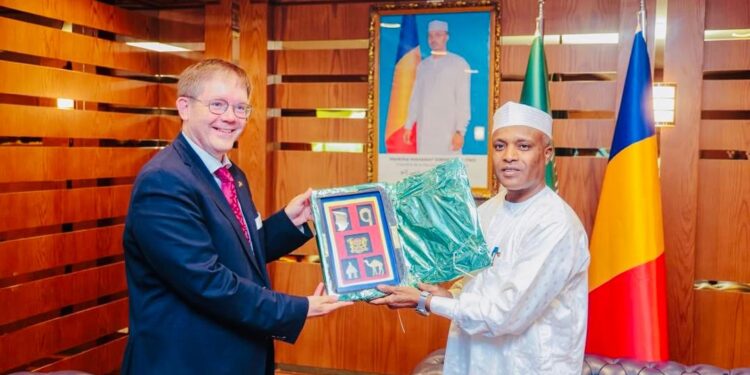 Diplomatie : L&rsquo;Ambassadeur d&rsquo;Allemagne en fin de mission s&rsquo;entretient avec le chef de la diplomatie tchadienne