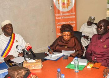 Tchad: Deuxième Session Ordinaire du CESCE Début des Travaux en Plénière