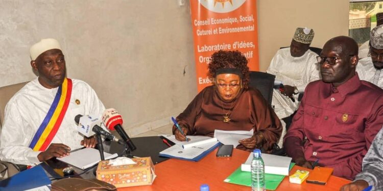 Tchad: Deuxième Session Ordinaire du CESCE Début des Travaux en Plénière