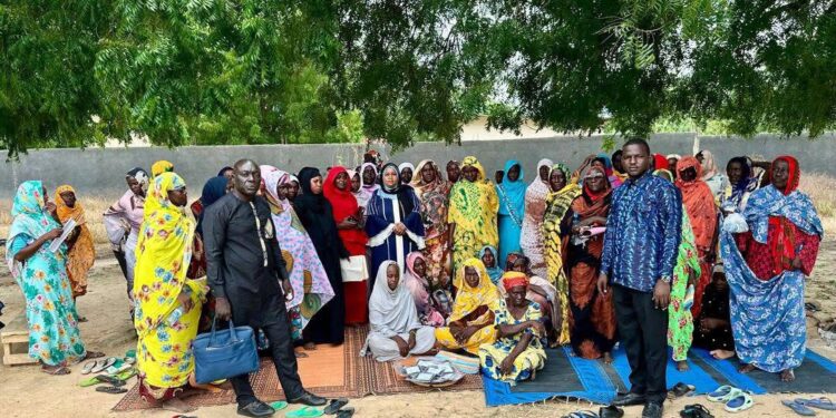 Tchad : Poursuite de la mission de prospection, Mandélia et Maïlao à l’honneur