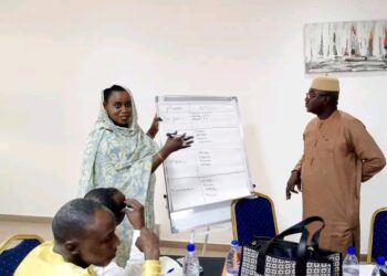 Tchad : Le renforcement de la gestion des urgences sanitaires animales au centre d&rsquo;un atelier national