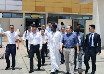 Tchad : Une importante délégation chinoise accueillie à N&rsquo;djamena