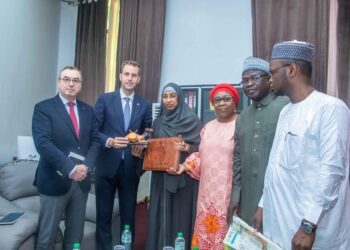 Coopération Tchad – France : Un dialogue interparlementaire qui consolide les relations bilatérales