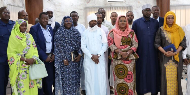 Tchad : La SONEMIC restitue des données géologiques stratégiques pour dynamiser l’exploitation minière