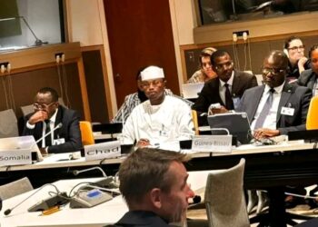 Tchad : Le gouvernement plaide à l’ONU pour un financement climatique plus équitable et adapté aux pays fragiles