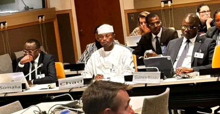 Tchad : Le gouvernement plaide à l’ONU pour un financement climatique plus équitable et adapté aux pays fragiles