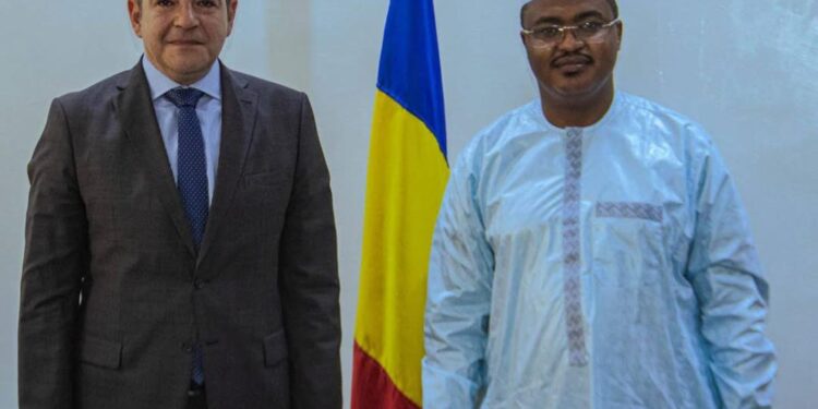 Tchad : Emploi, sport et formation professionnelle, les axes d&rsquo;une collaboration stratégique avec la Turquie