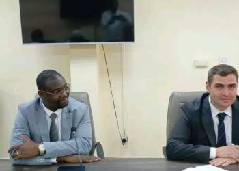 Coopération : Vers un Partenariat entre le Tchad et le Groupe Hospitalier Memorial de Turquie