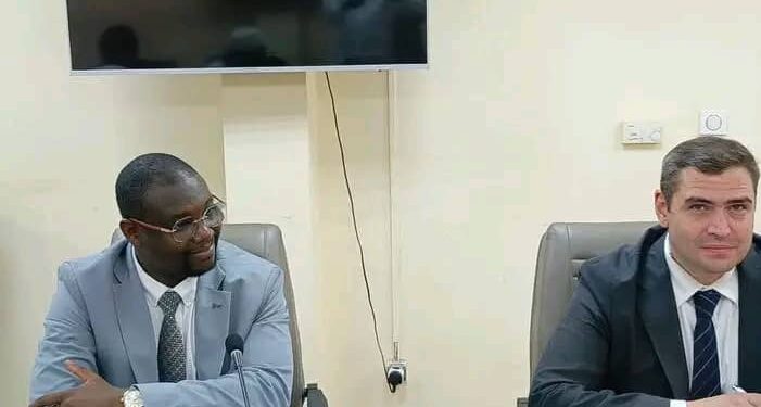 Coopération : Vers un Partenariat entre le Tchad et le Groupe Hospitalier Memorial de Turquie