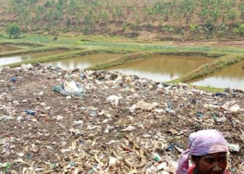 Burundi : Des femmes scientifiques transforment les déchets de Gitega en richesse verte