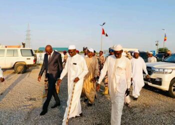 Tchad : Le ministre de l’Énergie inspecte les derniers préparatifs avant l’inauguration de la centrale solaire de Djarmaya