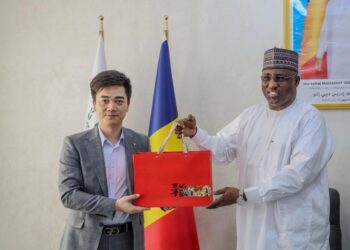 Tchad : Huawei présente au Président de l’Assemblée nationale ses solutions pour accélérer la transformation numérique