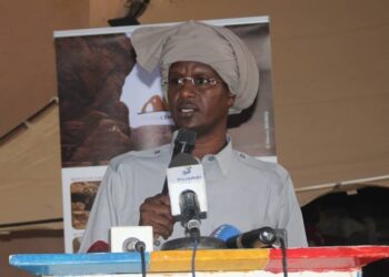 Tchad : Le ministre du Tourisme exhorte la France à lever la « zone rouge » sur l’Ennedi, joyau classé à l’UNESCO