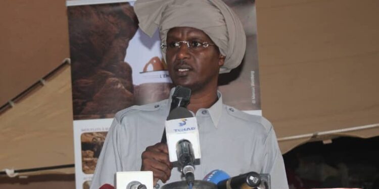Tchad : Le ministre du Tourisme exhorte la France à lever la « zone rouge » sur l’Ennedi, joyau classé à l’UNESCO