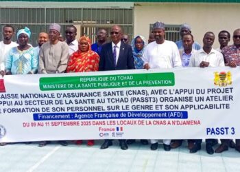 Tchad : Un atelier de formation sur le genre lancé au profit du personnel de la Caisse nationale d’assurance santé