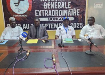 Tchad : Bongor accueille la toute première AG extraordinaire de handball