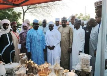 Mao : Les maires de N’Djamena en immersion dans les richesses gastronomiques du Kanem