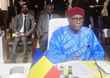 Qatar : L’ambassadeur de la République représente le chef de la diplomatie tchadienne à la réunion des ministres de l’OCI