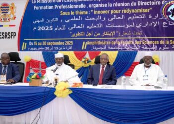 Tchad : Réunion du directoire des institutions de l&rsquo;enseignement supérieur et de la formation professionnelle