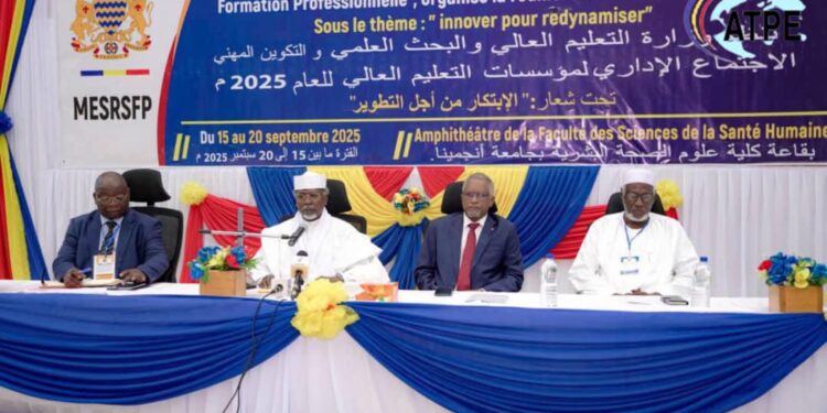 Tchad : Réunion du directoire des institutions de l&rsquo;enseignement supérieur et de la formation professionnelle