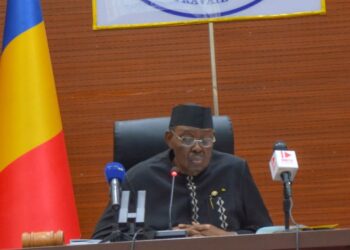 Tchad : La révision de la Constitution adoptée par les sénateurs lors de la première plénière